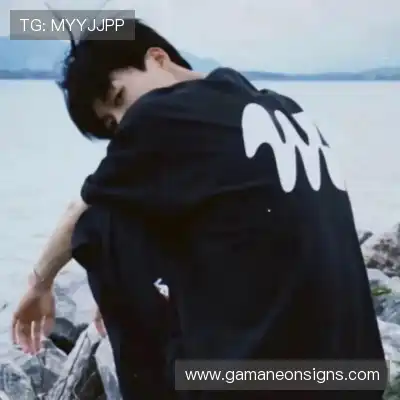 晏清飚
